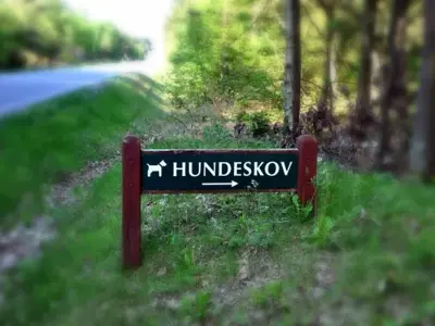 hundeskov-husby.webp