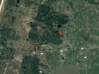 hundeskov-oksbøl.webp